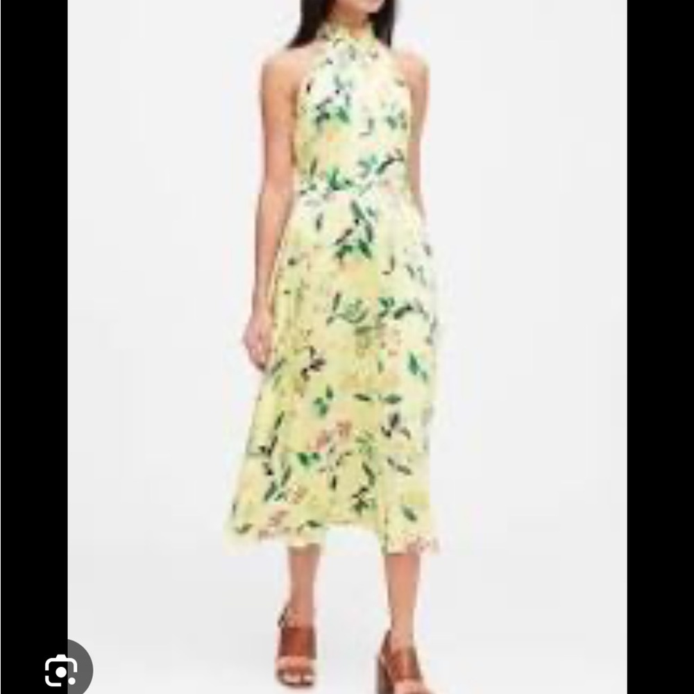 Banana Republic NWT dress size 8P